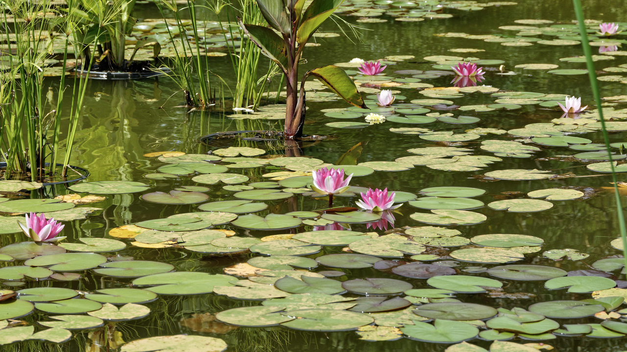 20190731-135048••North Mankato•Minnesota•USA